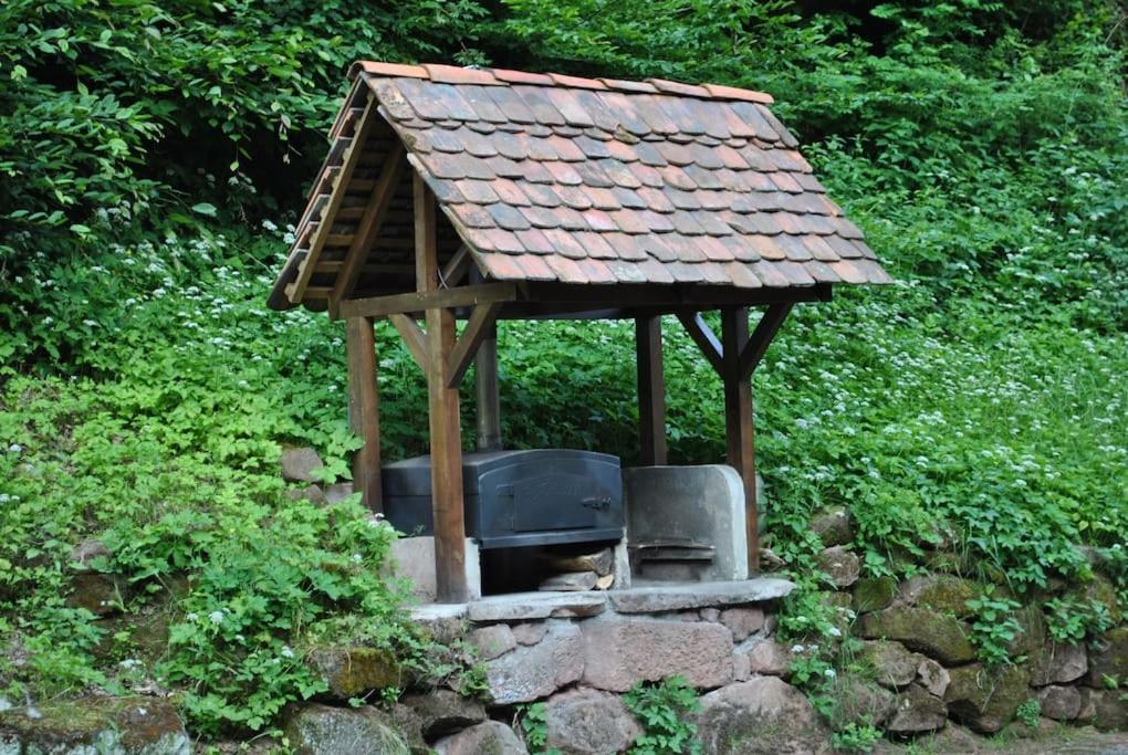 فيلا Le Saint Moulin De La Petite Pierre Lohr المظهر الخارجي الصورة
