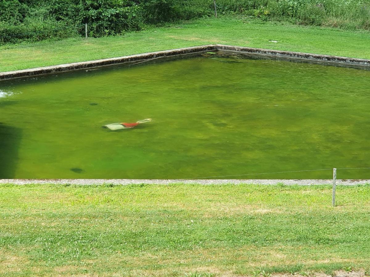فيلا Le Saint Moulin De La Petite Pierre Lohr المظهر الخارجي الصورة