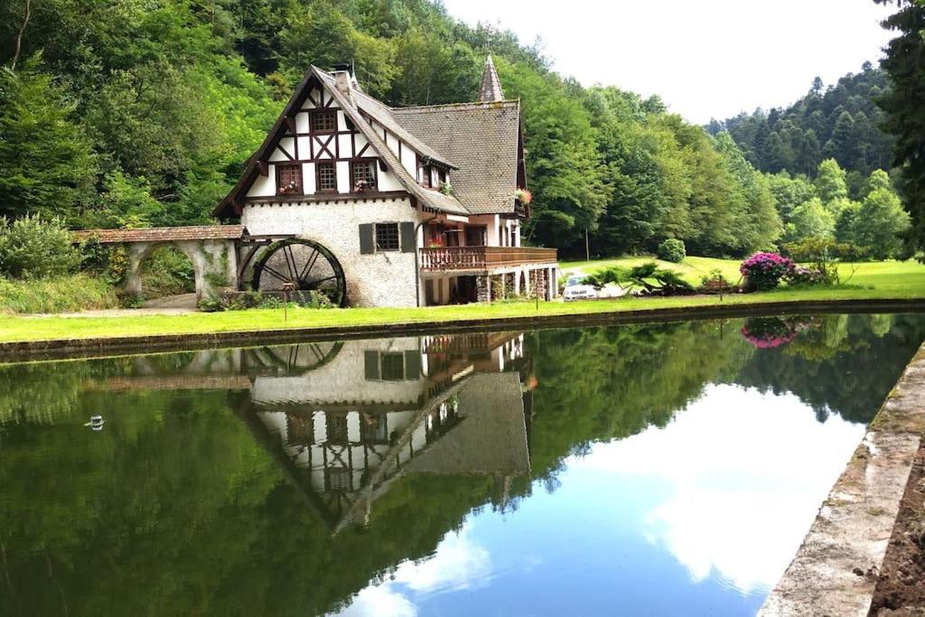 فيلا Le Saint Moulin De La Petite Pierre Lohr المظهر الخارجي الصورة